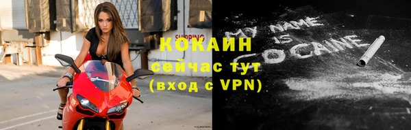 спиды Бородино