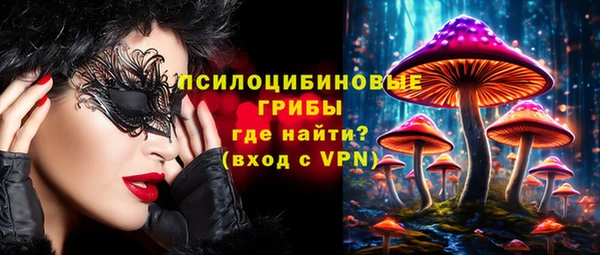 спиды Бородино