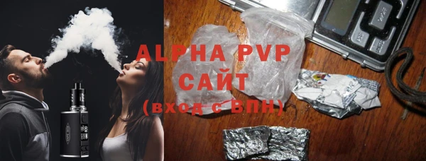спиды Бородино